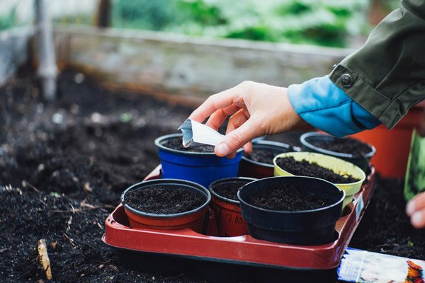 Virtual Gardening Class by KraftyLab.