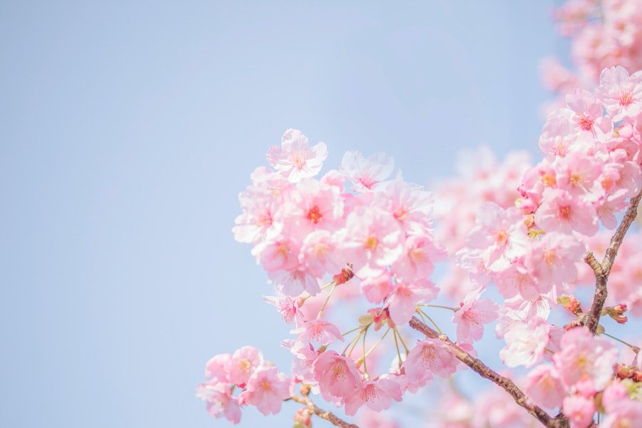 Spring Trivia Questions And Answers