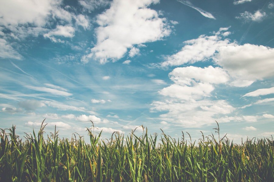 Regenerative Agriculture Trivia Questions For Earth Day.