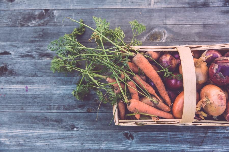 Food Waste Trivia Questions For Earth Day.