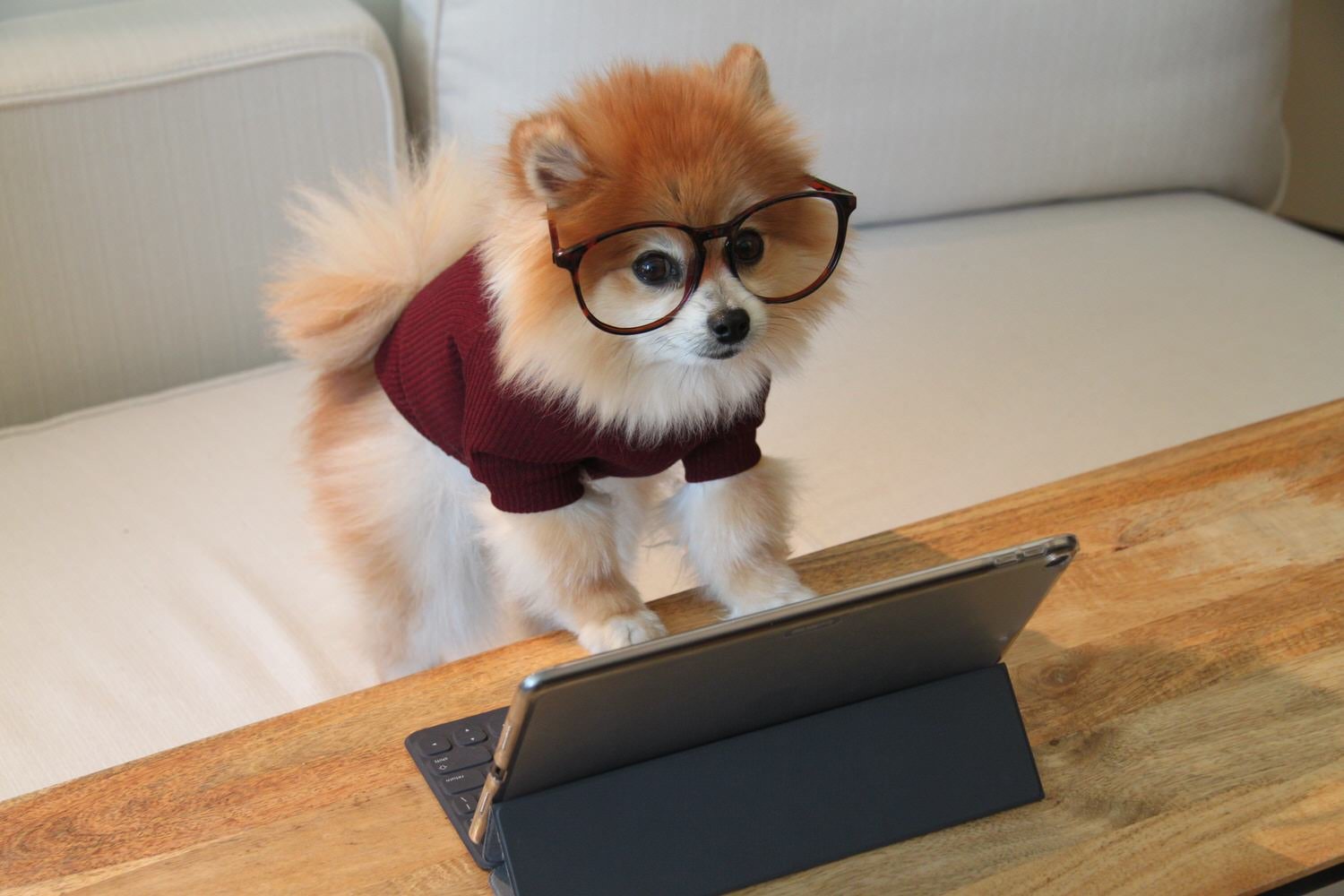 Work From Home This Or That Questions For Teams