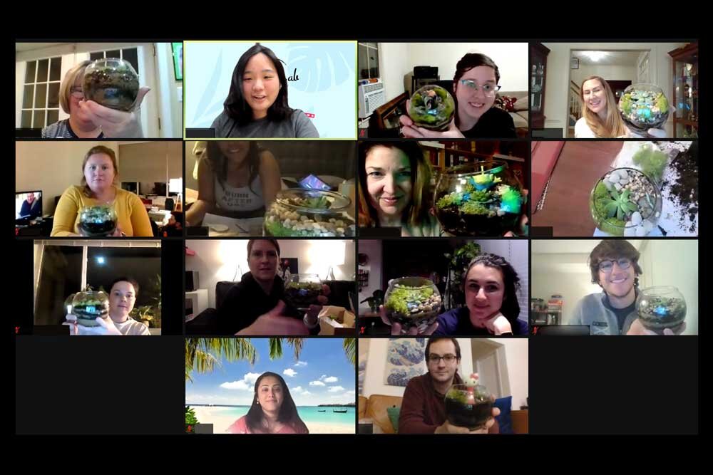 Virtual terrarium making during a team building activity