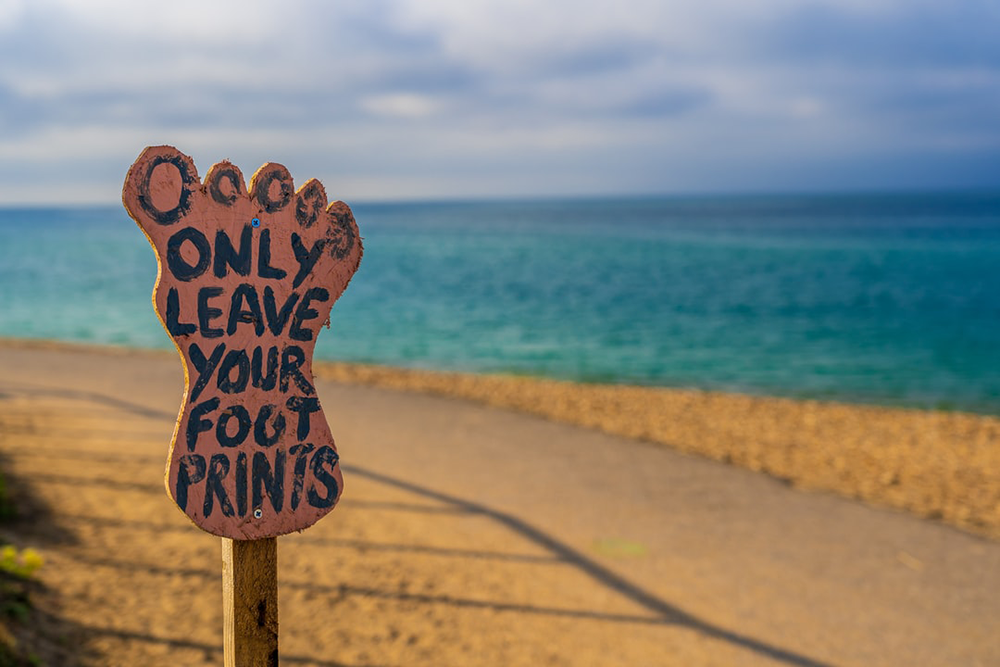 Earth Day Quizzes For Remote Teams